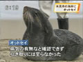 News 20100311_003