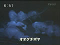 News 20100311_004