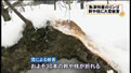 News 20120203_007