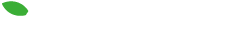 活動紹介