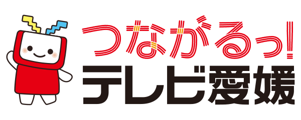テレビ愛媛